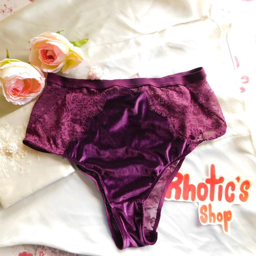 NWT Lace and Velvet High Waisted Panty